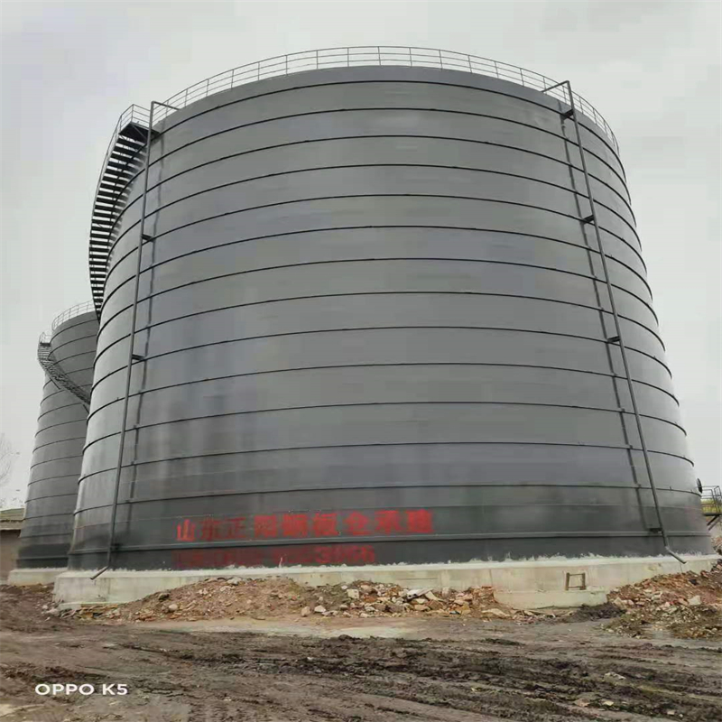 大东3万吨大型钢板库